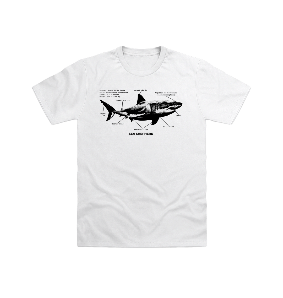 White Printed T-shirt Front